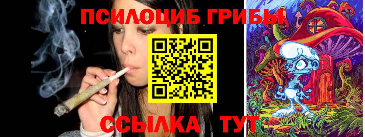 Псилоцибиновые грибы Cubensis Кудрово
